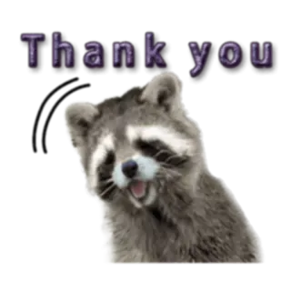 🙏 af8e1d93 Thank you procione, grazie, animale, gratitudine telegram sticker