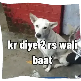 👍 efa170cd kr diye 2 rs wali baat cane, cane indiano, randagio, adesivo cane, animale, animale domestico telegram sticker