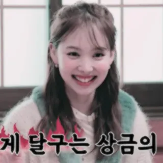 🐰 6f909348 게 달구는 상금의 coreano, testo, persona, sorridente telegram sticker