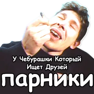🍀 177256f0 у Чебурашки Который Ищет Друзей парники telegram sticker