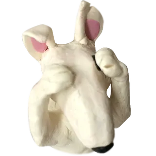 🙈 caab924b 犬, 中指, ジェスチャー, 侮辱的, 白 telegram sticker