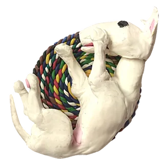 🛌 e0827ae3 犬, ブルテリア, 動物, ペット, 可愛い, 白い, 遊び好き, 睡眠 telegram sticker