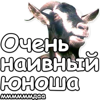 🤓 0a67799b Очень наивный юноша
ммммммдаа cabra, ingênuo, jovem, russo, animal, meme telegram sticker