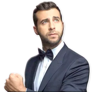 ✊ 9a96468e homme, costume, nœud papillon, portrait, tenue de soirée telegram sticker