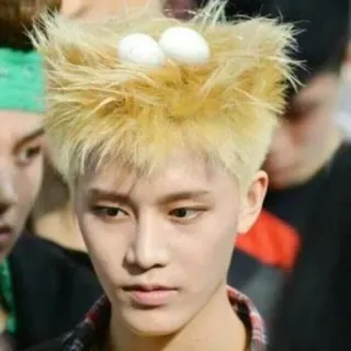 NCT 123 telegram stickers