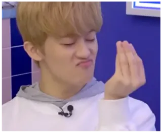 🤌 fed84a8f gesto, italiano, comunicación, expresión whatsapp sticker