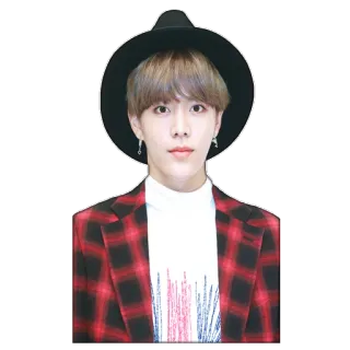 🙂 6b5e89c3 person, hat, jacket, portrait telegram sticker