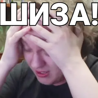 😰 bc53a83b ШИЗА! Meme, Espressione, Confusione, Frustrazione, Russo, Shiza telegram sticker