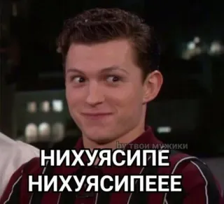 🤩 48f2ed22 НИХУЯСИПЕ НИХУЯСИПЕЕЕ мем, смешно, юмор, Том Холланд, русский, выражение, интернет-мем telegram sticker