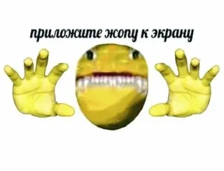 🍑 fc5af338 приложите жопу к экрану Мем, Смешно, Шутка, Оскорбительный, Абсурд telegram sticker