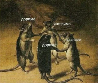 🐀 fed42bea дориме крысы, круг, русский, мем, танцы telegram sticker