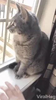 😣 7f44cf8e whatsapp sticker