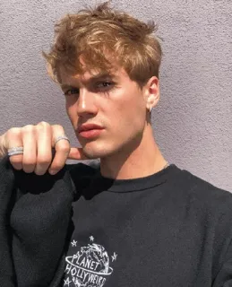 ➰ 876fc99b PLANET HOLLYWEIRD homem, loiro, retrato, modelo, moda, estilo, suéter telegram sticker