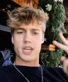 🌟 34416ead telegram sticker