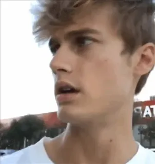 🌟 4243e0aa person, porträt, mann, jung, kaukasisch, gesicht telegram sticker