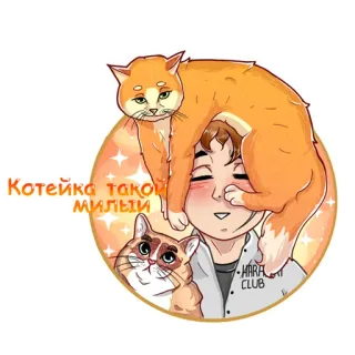 😻 aa3c8d6b Котейка такой милый chat, mignon, russe, animal de compagnie, animal, autocollant whatsapp sticker