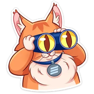 👀 f5ac9b15 gato, prismáticos, animal, mirando, espía telegram sticker