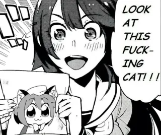 🐱 fc749fe2 LOOK AT THIS FUCKING CAT!!! cat, anime, manga, funny, profanity whatsapp sticker