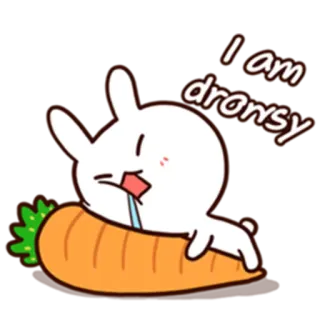 🙄 2f20e541 I am drowsy konijn, konijn, slaperig, wortel, slaap, schattig, dier telegram sticker