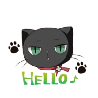 ✋ 486700fd HELLO mèo, xin chào, lời chào, khăn quàng cổ, động vật, phim hoạt hình telegram sticker
