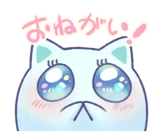 😍 320967d8 おねがい! mignon, chat, suppliant, kawaii, animal, implorant whatsapp sticker