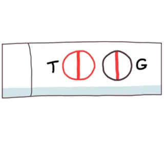 😶 606ab50f TOG tes kehamilan, positif, T, O, G telegram sticker