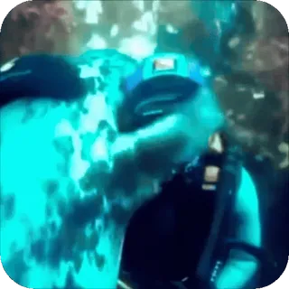 Нерпочки • @TgStickery telegram stickers