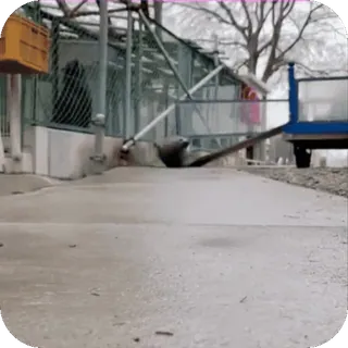 😁 48d837fd telegram sticker