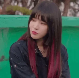 🦋 dccdbec1 whatsapp sticker