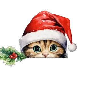 🫥 3011b9fd chat, Noël, bonnet de Noël, houx, festif, chaton, vacances telegram sticker