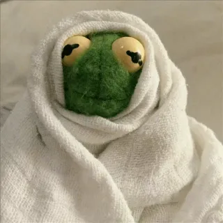 😮 131a2d5a Kermit the Frog Kermit, ếch, khăn tắm, con rối, muppet, meme telegram sticker