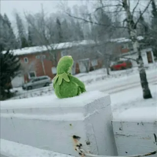 🥳 2f1309e9 Kermit Ếch Kermit, Muppet, ếch, tuyết, mùa đông, buồn, cô đơn telegram sticker