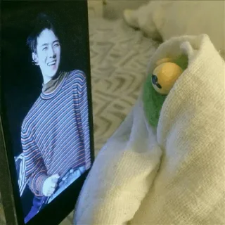 😧 6d93c4be Kermit the Frog Kermit, con rối, khăn tắm, nhân vật telegram sticker