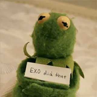 😵 914aaf4b Kermit EXO did that Ếch Kermit, Meme, Vui nhộn, Meme trên mạng telegram sticker