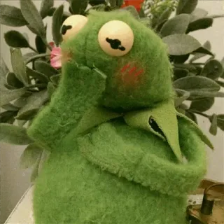 😮 a1887538 ếch, con rối, xanh lá cây, thú nhồi bông, vải nhung, dễ thương telegram sticker