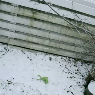 😲 b4de5de5 telegram sticker