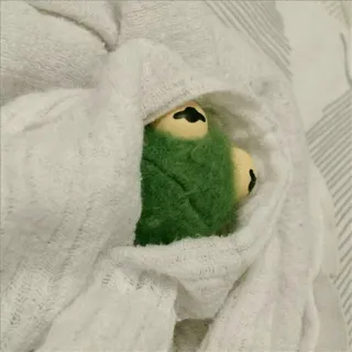 😬 e479c7ec Kermit Kermit, Muppet, ếch, chăn, ấm cúng, xanh lá cây telegram sticker