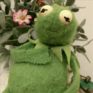 😮 fa81235f Kermit Kermit Ếch Xanh, Muppet, xanh lá cây, con rối, dễ thương, ếch telegram sticker