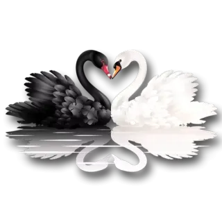 My Love @stickersb2b whatsapp stickers