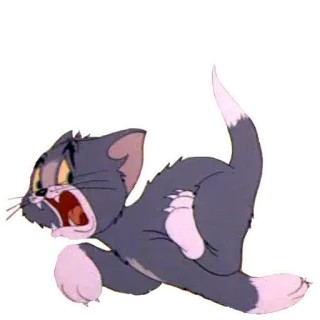 👀 0bb20776 Tom Cat Tom and Jerry แมว, การ์ตูน, สัตว์, สีหน้า, ตลก, ตัวละคร telegram sticker