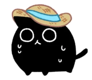 🙄 e36ee036 Katze, Hut, süß, schwarz whatsapp sticker