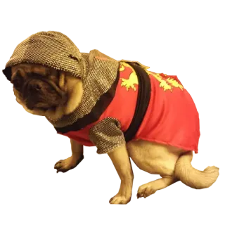 😷 9f6a890b 狗, 巴哥, 骑士, 盔甲, 宠物, 动物 telegram sticker