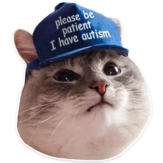 🐱 1a4f4fa7 please be patient I have autism gato, animal, meme, autismo, paciente, pegatina, sombrero whatsapp sticker