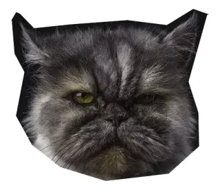 🐱 4aada7d1 gato, gruñón, animal, mascota, cara, meme, divertido whatsapp sticker