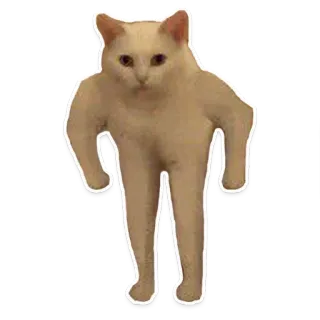 🐱 4be7db0f gato, animal, divertido, meme, humanoide, caminando whatsapp sticker