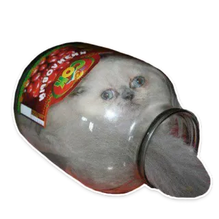 🐱 d6f3d4c7 СОК КЛУБНИКИ gato, tarro, jugo de fresa, mascota, animal, vidrio, gracioso, meme whatsapp sticker