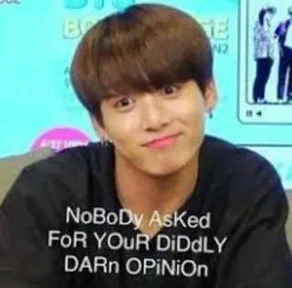 🤪 19f86f07 NoBoDy AsKeD FoR YoUr DiDdLY DARn OPINiOn Meme, Humor, Sarcasme, Internet, Mening, Grappig telegram sticker