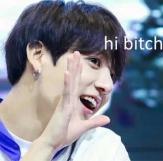 👋 3fc7bf4d hi bitch Meme, aanstootgevend, beledigend, groet telegram sticker