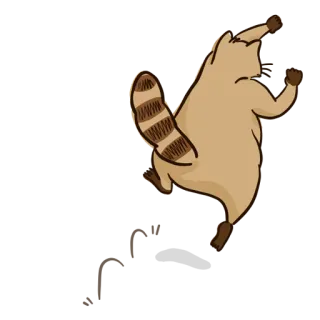 💃 8000d9f7 浣熊, 动物, 卡通, 跳舞 telegram sticker