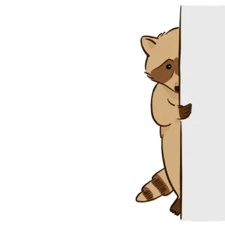 🙈 81b4f4ad 浣熊, 动物, 卡通, 可爱, 贴纸 telegram sticker